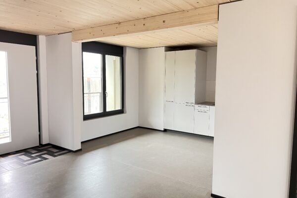 Gipserarbeiten-Trockenbau